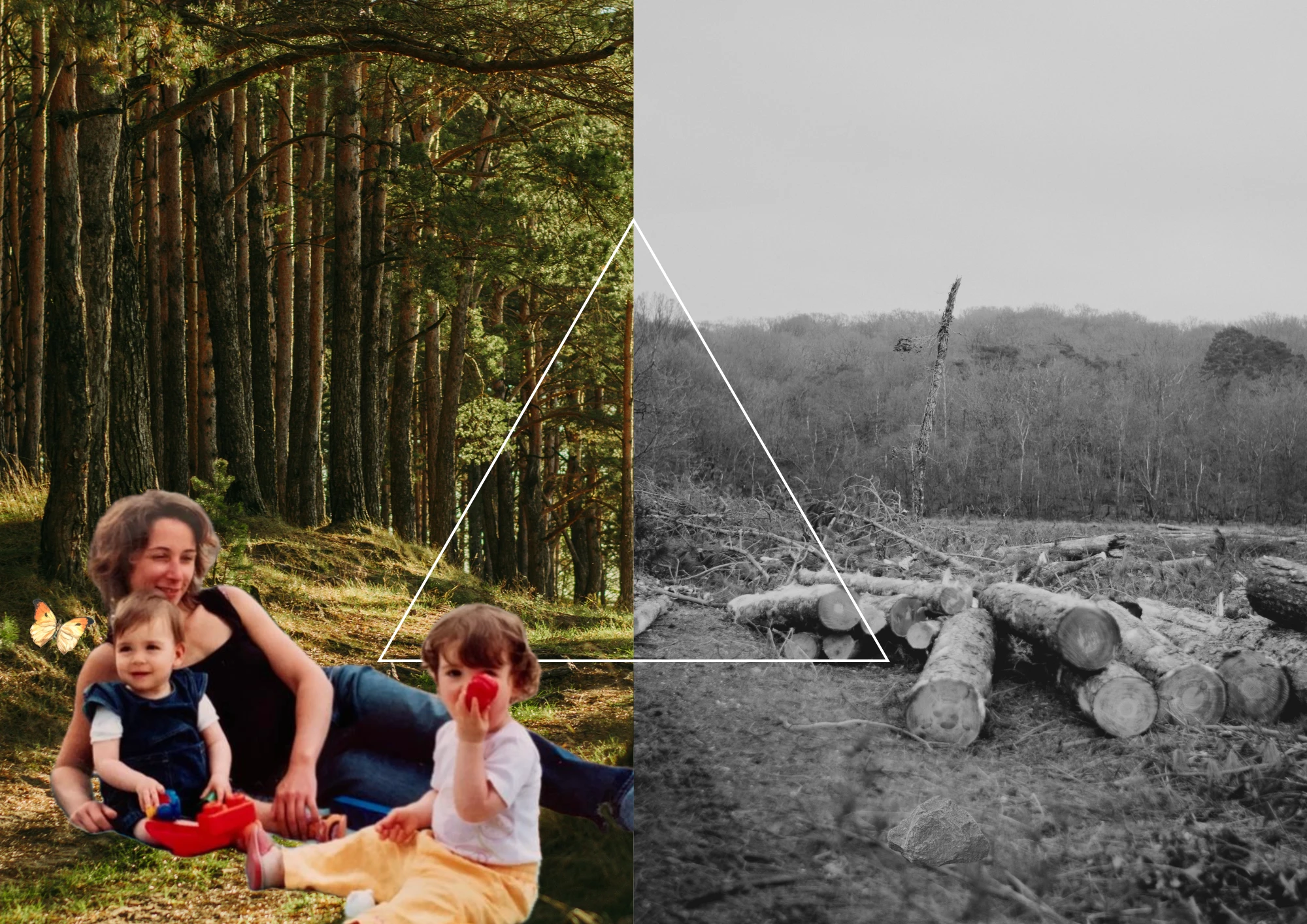 Photographie Roxane BARRETO DIAZ