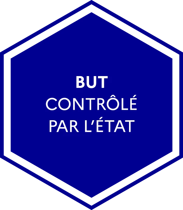 Bachelor universitaire de technologie contrôlé par l'État